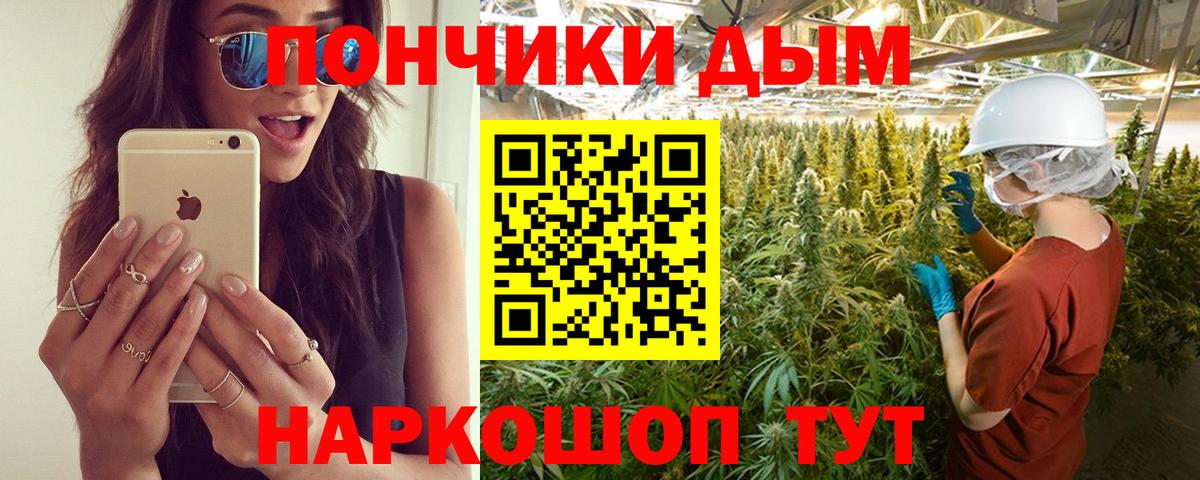 Каннабис сатива Алушта